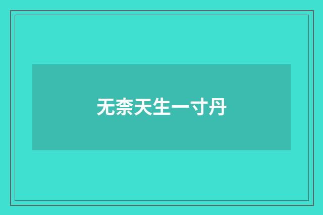 无柰天生一寸丹