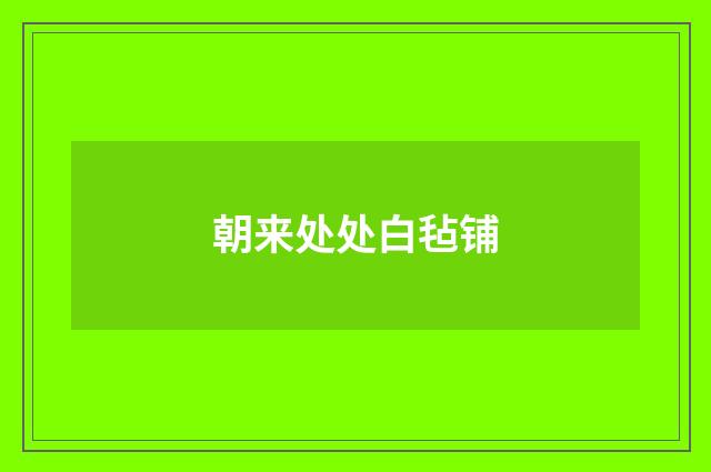 朝来处处白毡铺