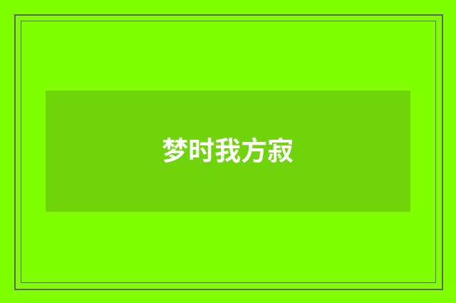 梦时我方寂