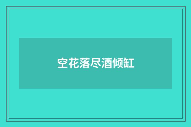 空花落尽酒倾缸