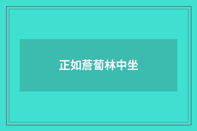 正如薝蔔林中坐