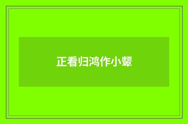 正看归鸿作小颦