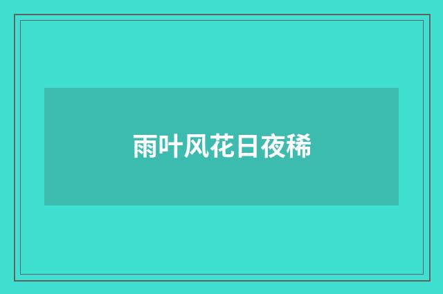 雨叶风花日夜稀