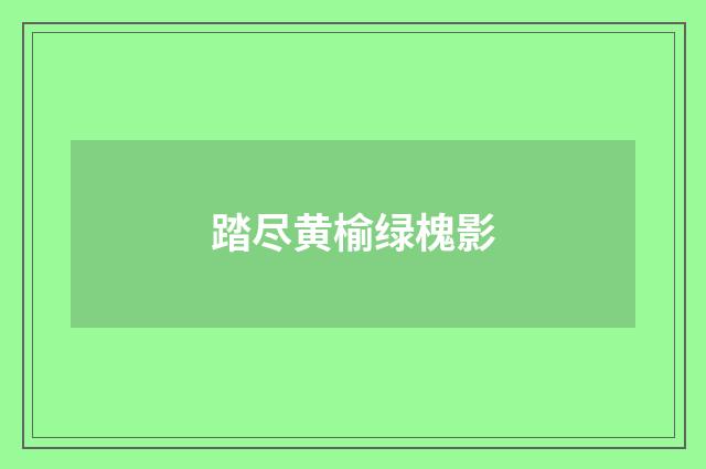 踏尽黄榆绿槐影