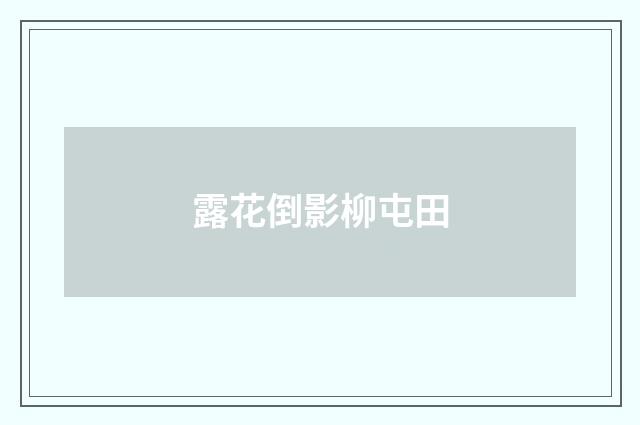 露花倒影柳屯田
