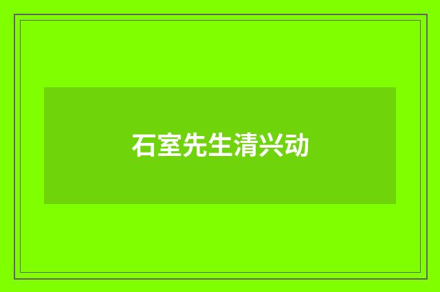 石室先生清兴动