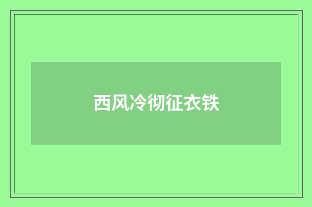 西风冷彻征衣铁