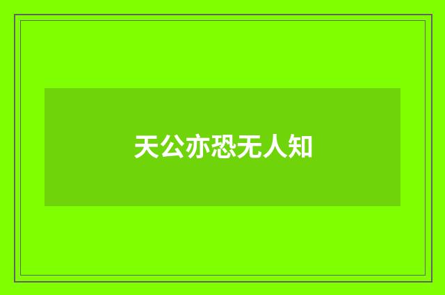 天公亦恐无人知