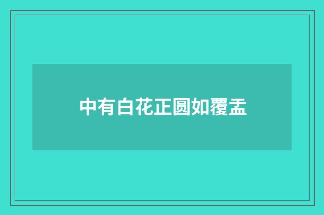 中有白花正圆如覆盂