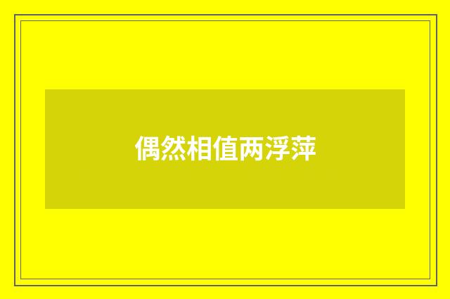 偶然相值两浮萍