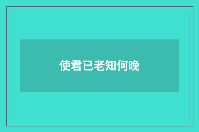 使君已老知何晚