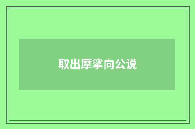 取出摩挲向公说