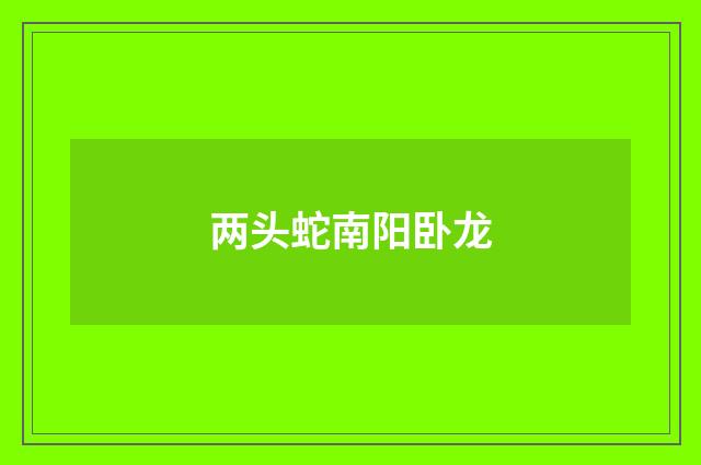 两头蛇南阳卧龙