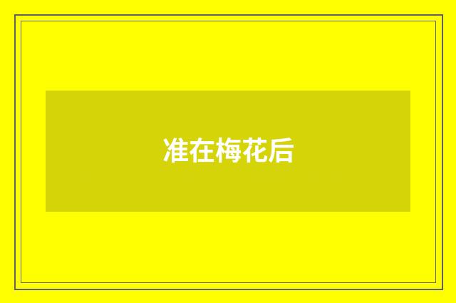准在梅花后