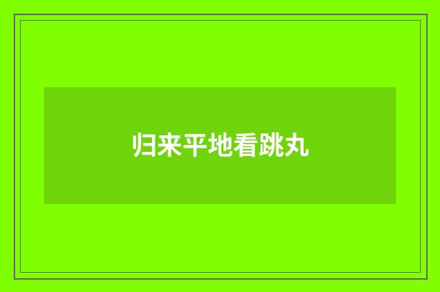 归来平地看跳丸