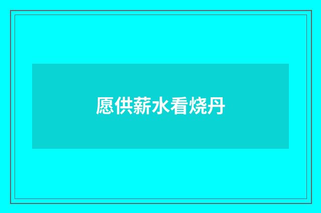 愿供薪水看烧丹