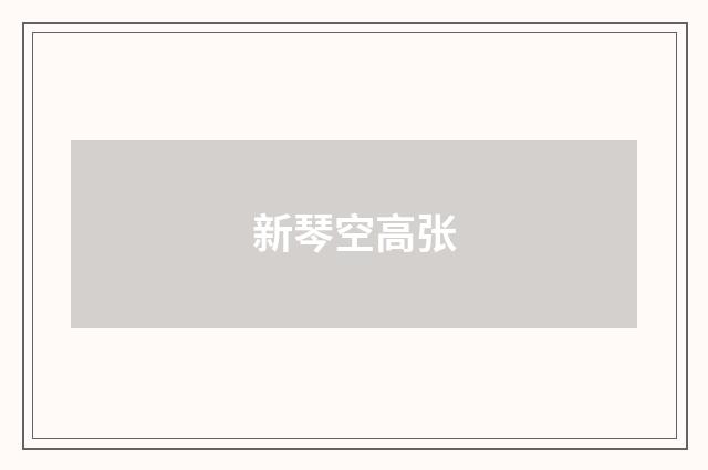 新琴空高张
