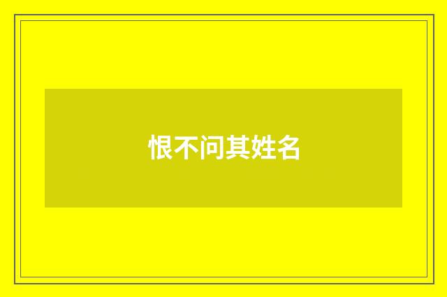 恨不问其姓名