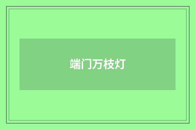 端门万枝灯