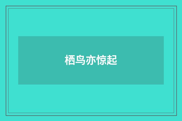 栖鸟亦惊起
