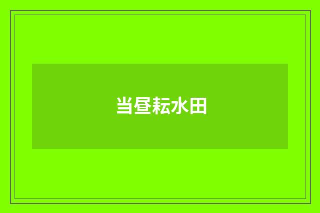 当昼耘水田