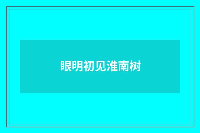 眼明初见淮南树