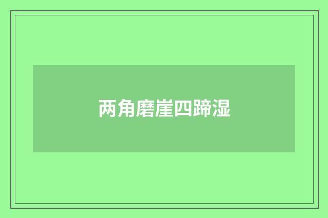 两角磨崖四蹄湿