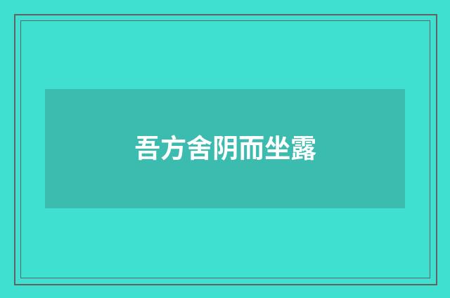 吾方舍阴而坐露