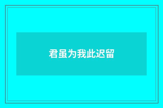 君虽为我此迟留