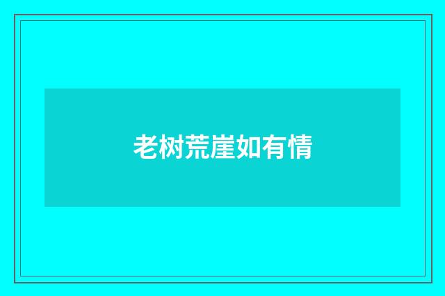 老树荒崖如有情