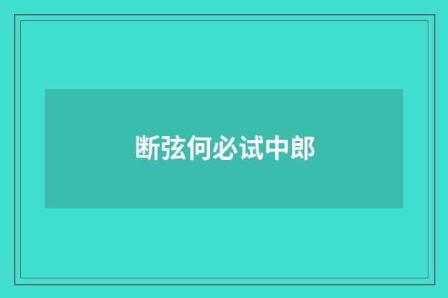 断弦何必试中郎