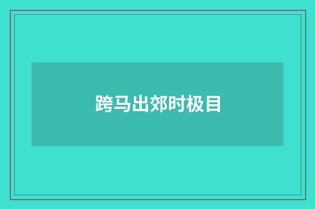 跨马出郊时极目