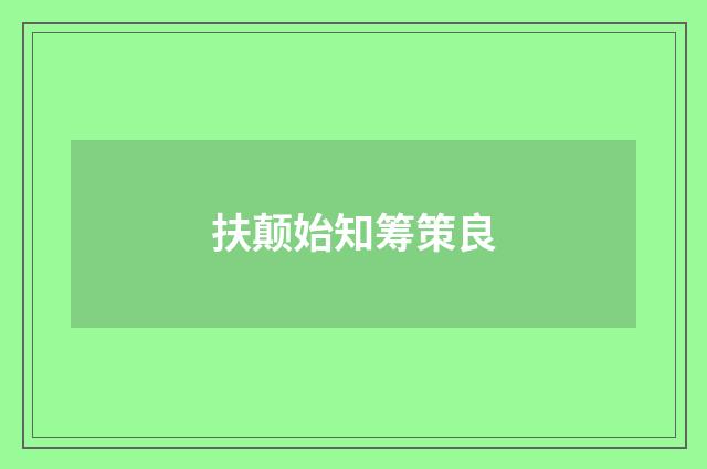 扶颠始知筹策良