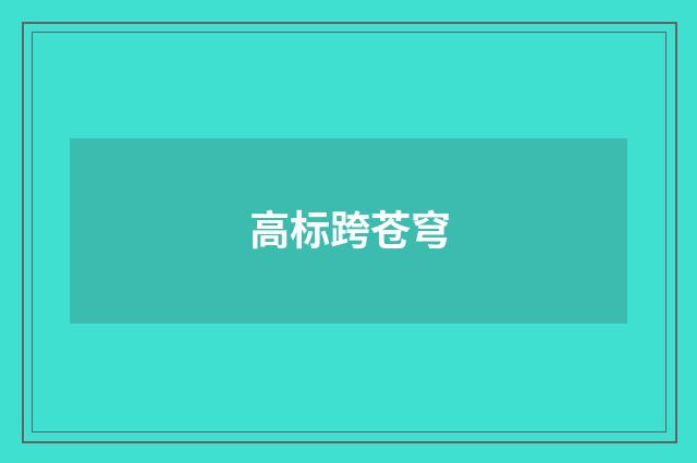 高标跨苍穹