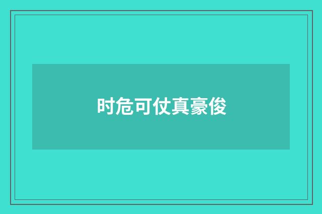 时危可仗真豪俊