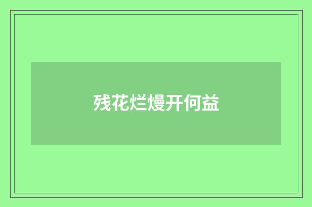 残花烂熳开何益