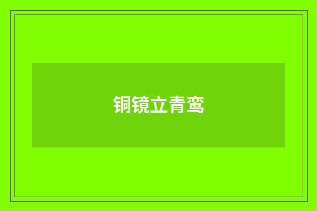 铜镜立青鸾