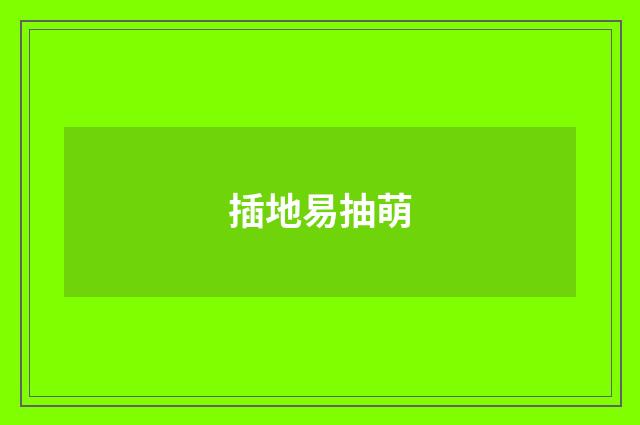 插地易抽萌
