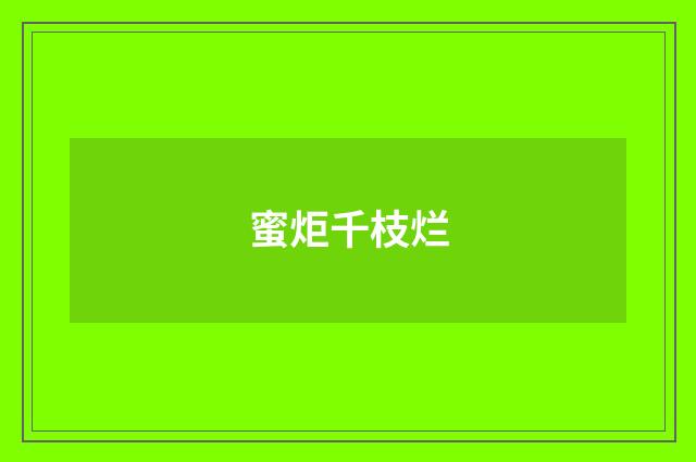 蜜炬千枝烂