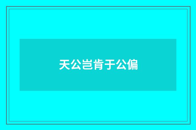 天公岂肯于公偏