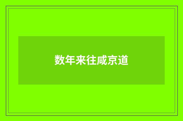 数年来往咸京道