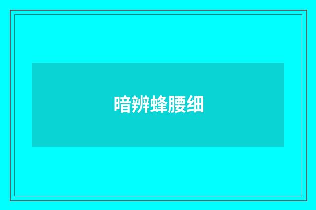 暗辨蜂腰细