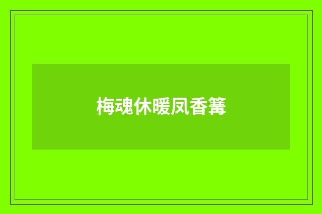 梅魂休暖凤香篝