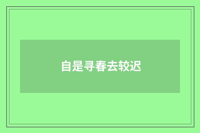 自是寻春去较迟