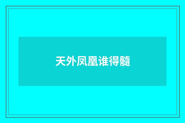 天外凤凰谁得髓