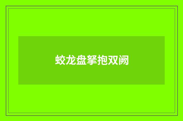 蛟龙盘拏抱双阙