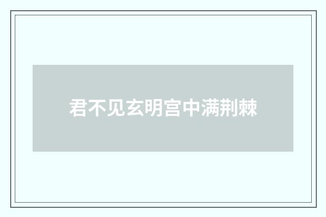 君不见玄明宫中满荆棘
