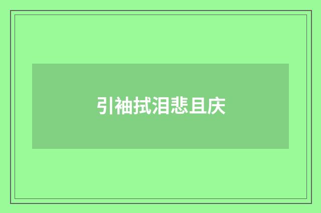 引袖拭泪悲且庆