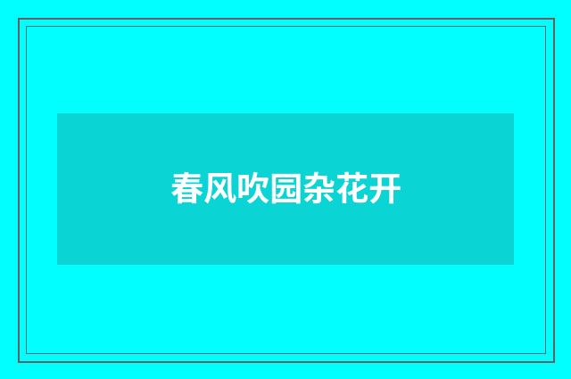 春风吹园杂花开