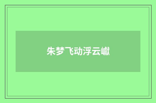 朱梦飞动浮云巘